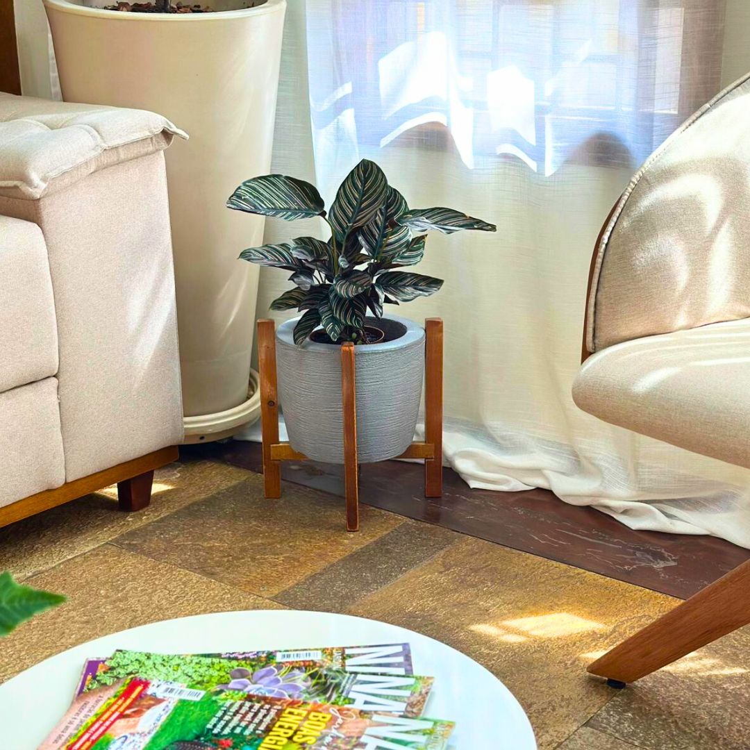 Kit Vaso Decorativo em Polietileno + Suporte de Madeira Rústica