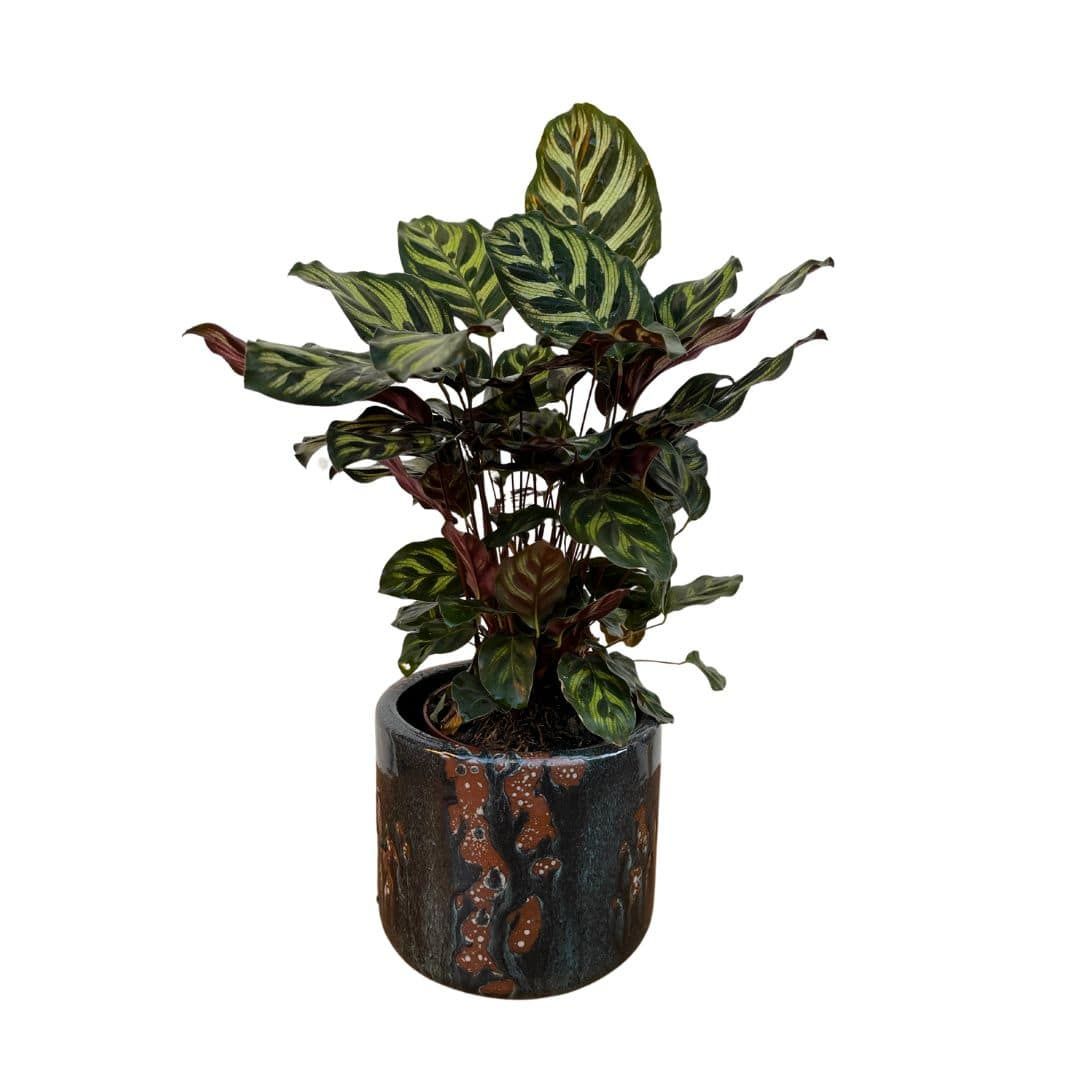 Vaso Cachepot de Cerâmica Texturizada