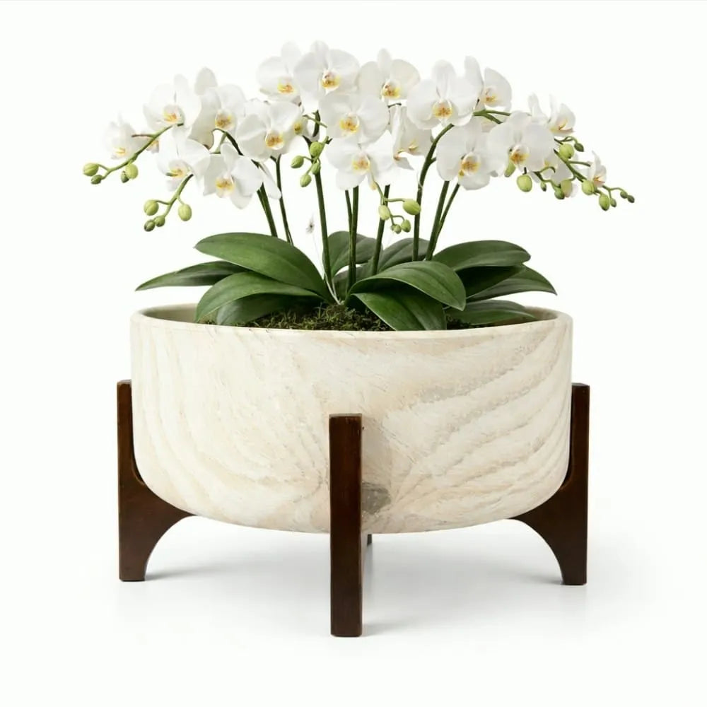 Vaso Bacia Linha Genebra com Suporte de Madeira