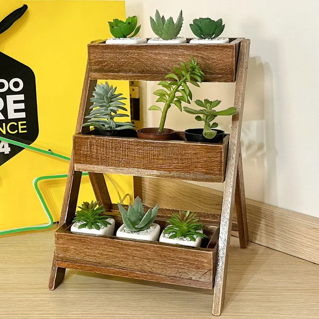 Suporte Vertical para Vasos de Suculenta