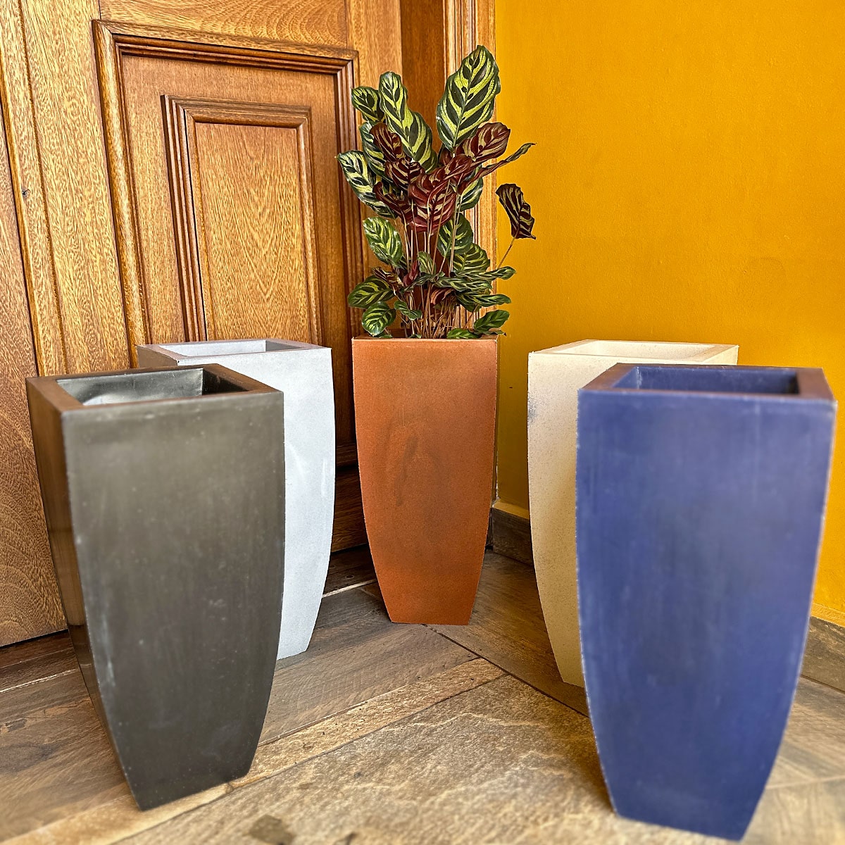 Vaso Fino para Plantas E Decoração de Ambientes Internos