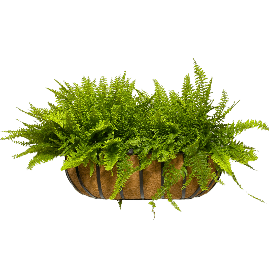 Jardineira de Fibra de Coco com Suporte