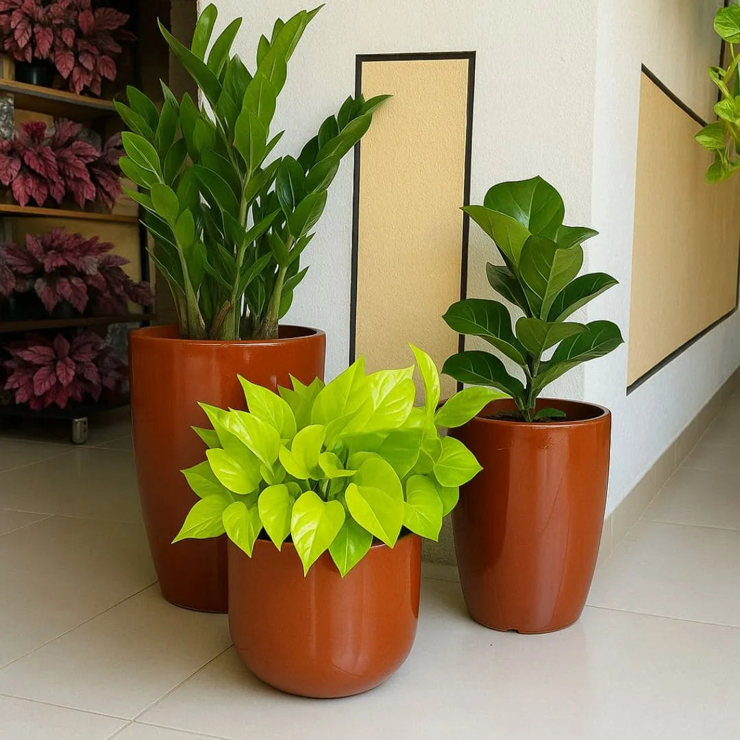 Kit 3 Vasos Polietileno Cone + Bacia