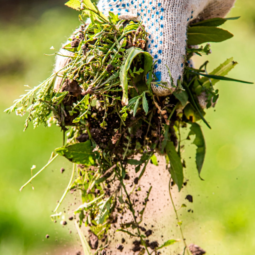 Kit Pulverizador Manual + 2 Herbicidas não-seletivos