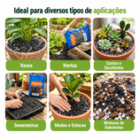 Casca de Arroz Carbonizada para Plantas e Substratos Avena 5L