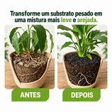 Casca de Arroz Carbonizada para Plantas e Substratos Avena 5L