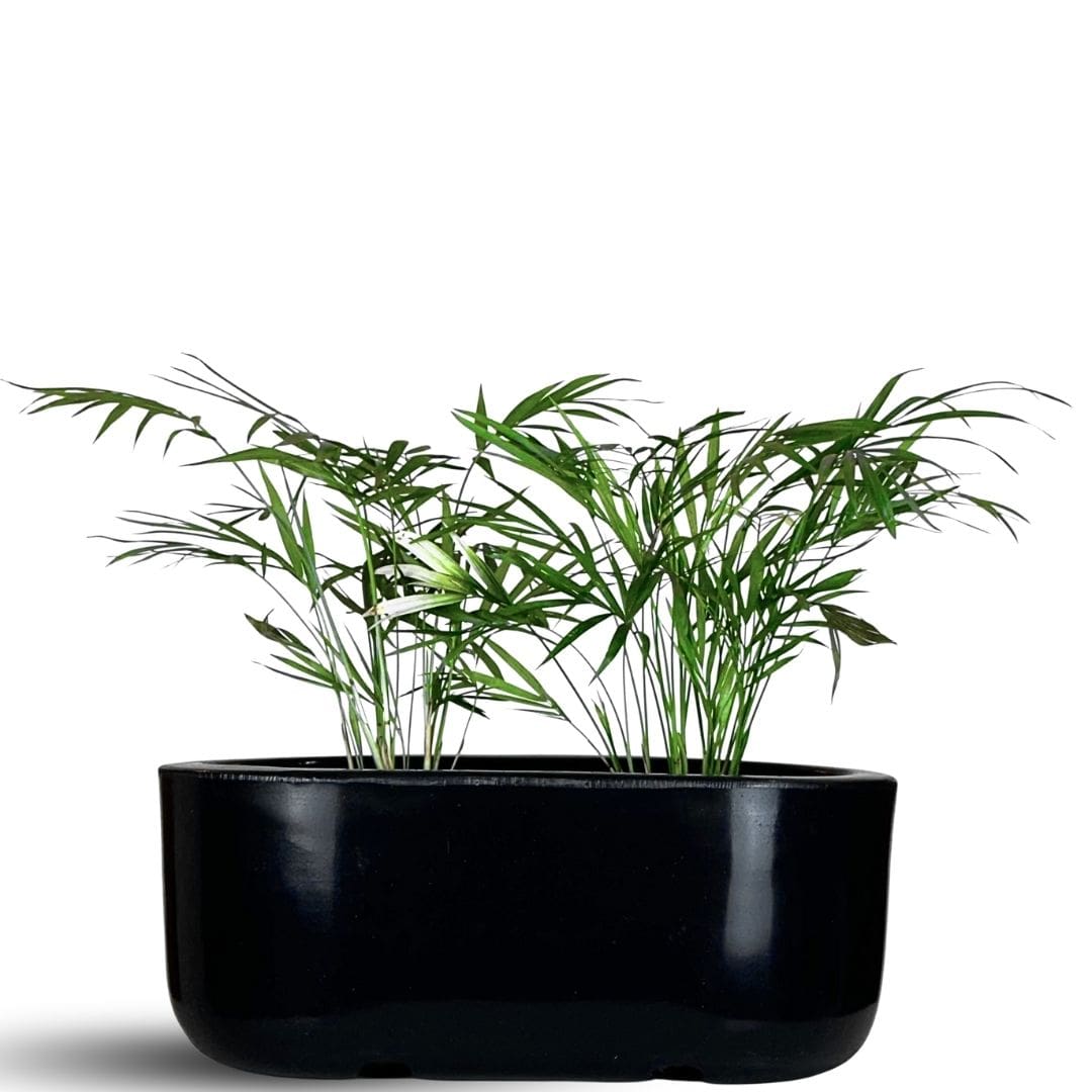 Jardineira Doha em Polietileno 30x17cm