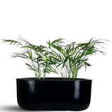 Jardineira Doha em Polietileno 30x17cm