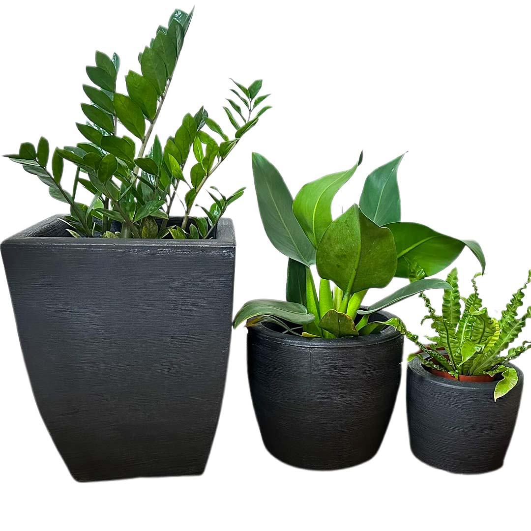 Kit 3 Vasos Texturizados Pequenos