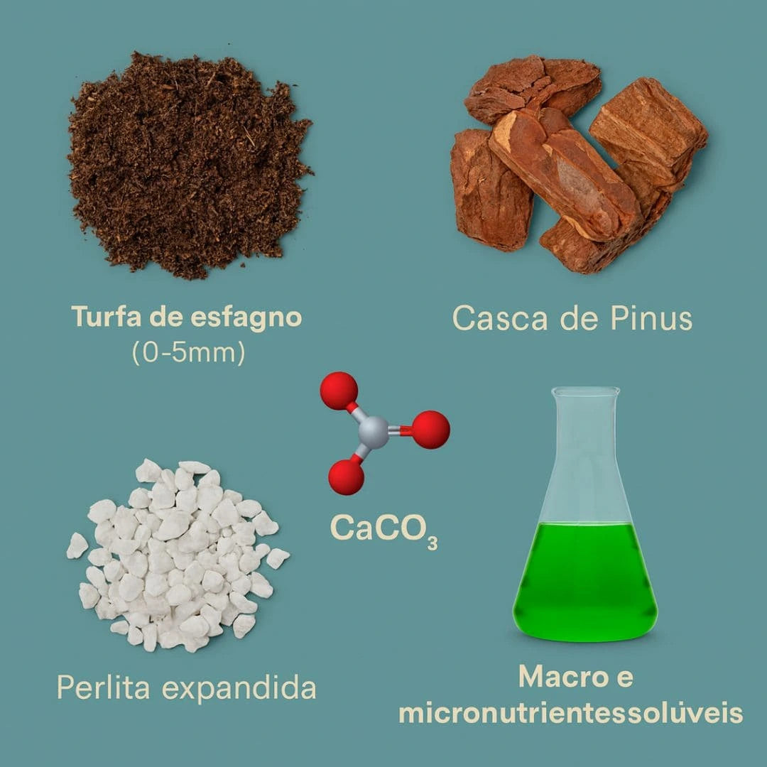 Substrato Sphagnotec 11 Turfa, Perlita e Pinus 25L