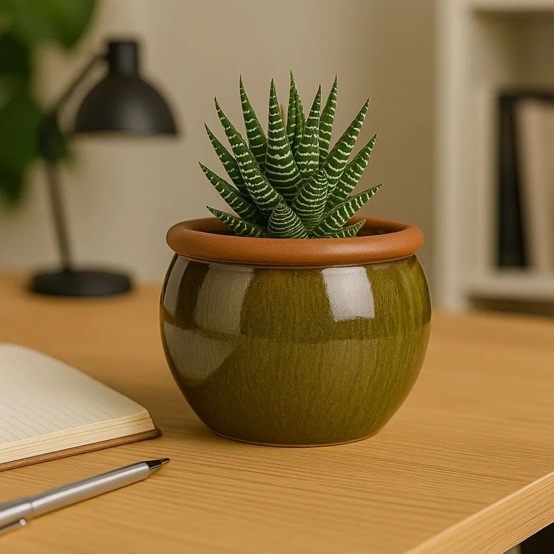 Vaso Cachepot em Cerâmica Esmaltada 15cm