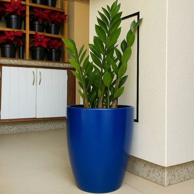 Kit 3 Vasos Polietileno Cone + Bacia