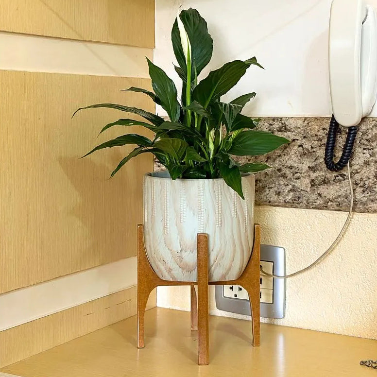 Kit 3 Vasos Genebra com Suporte de Madeira Alto