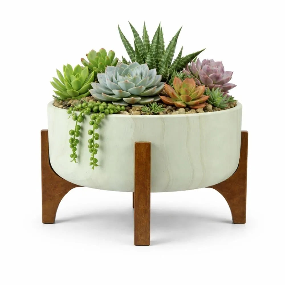 Vaso Bacia Linha Genebra com Suporte de Madeira