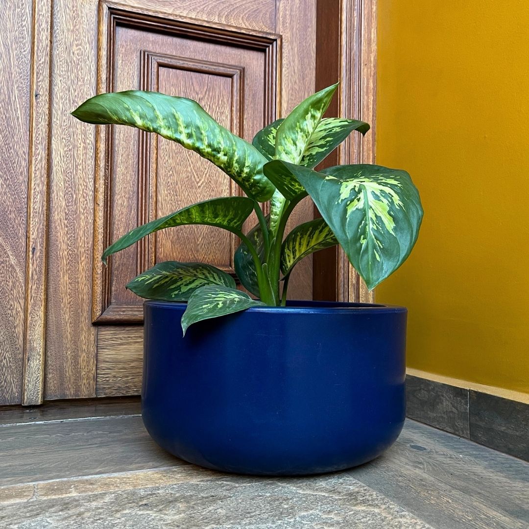 Vaso Bacia Linha Doha em Polietileno