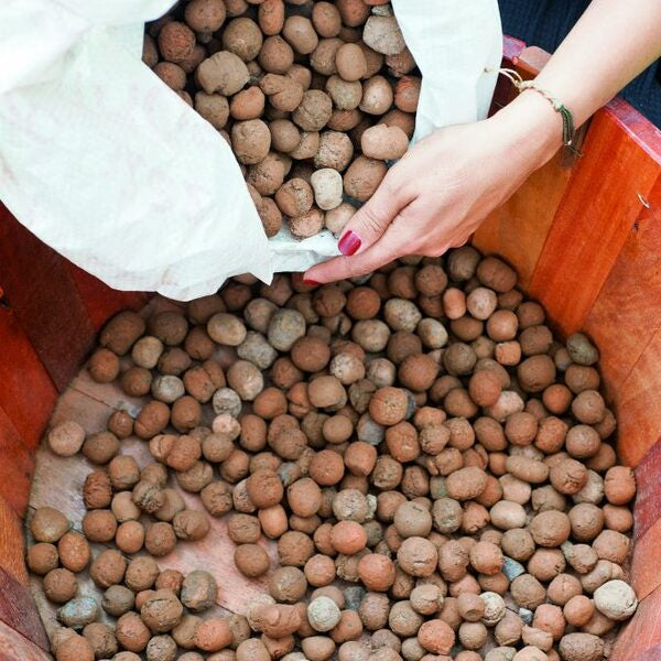 Argila Expandida 20kg