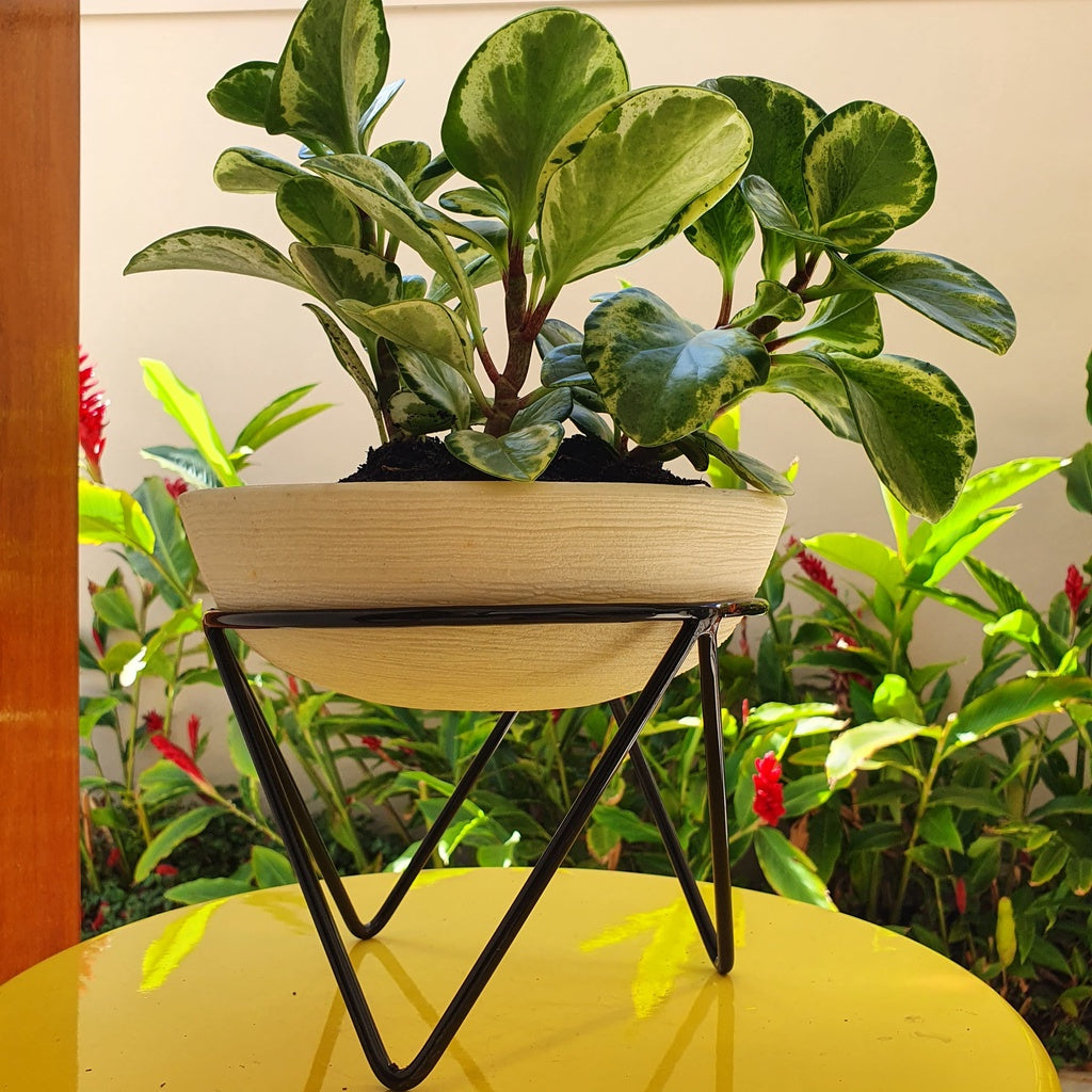 Suporte Tripé Redondo de Ferro 20cm