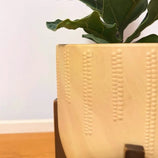 Kit 3 Vasos Genebra com Suporte de Madeira Alto