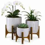 Kit 3 Vasos Genebra com Suporte de Madeira Baixo