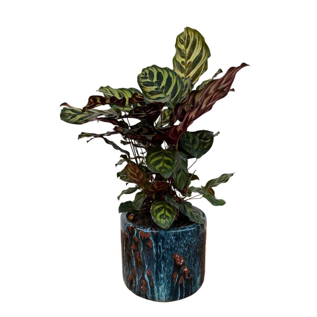 Vaso Cachepot de Cerâmica Texturizada