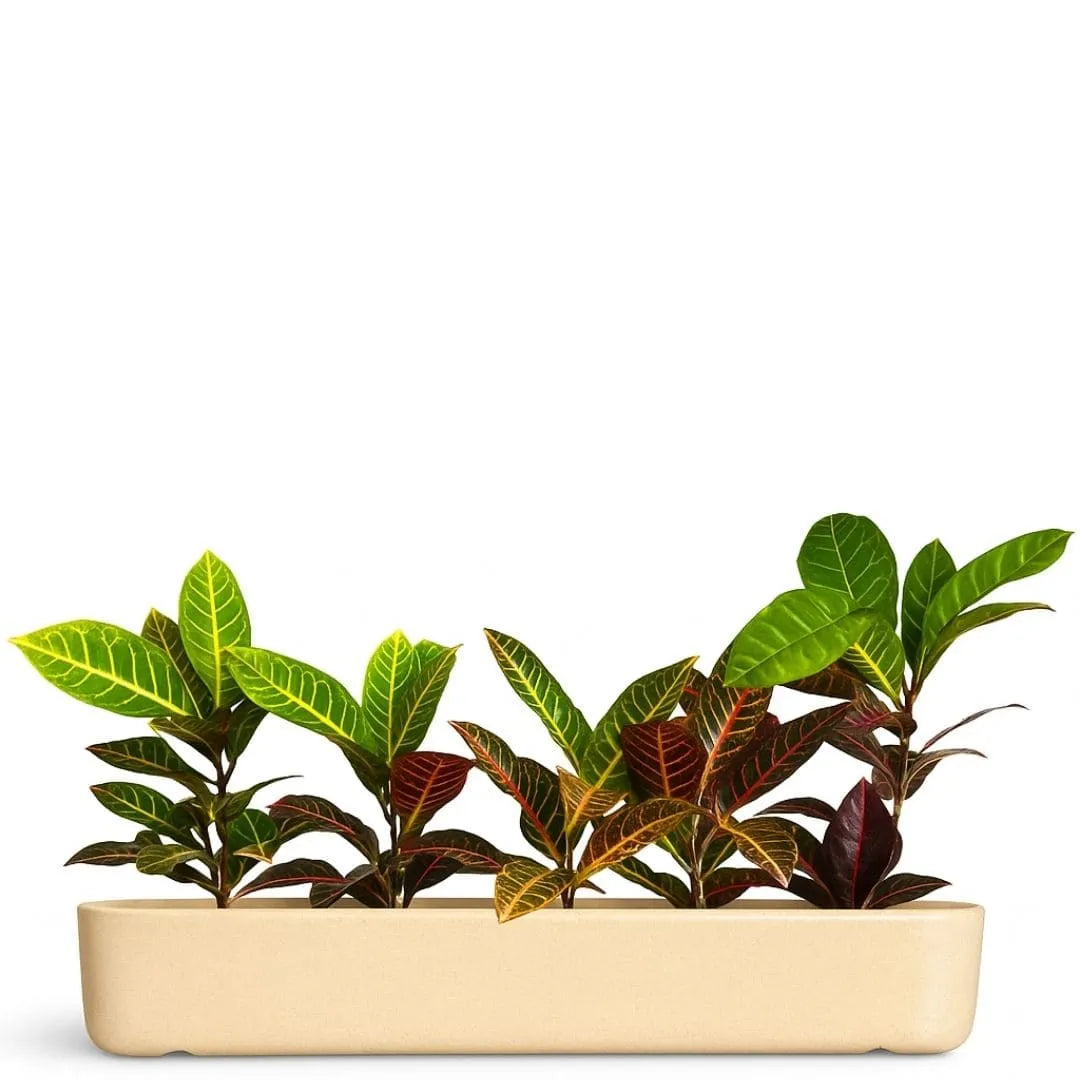 Jardineira Doha em Polietileno 80x17cm