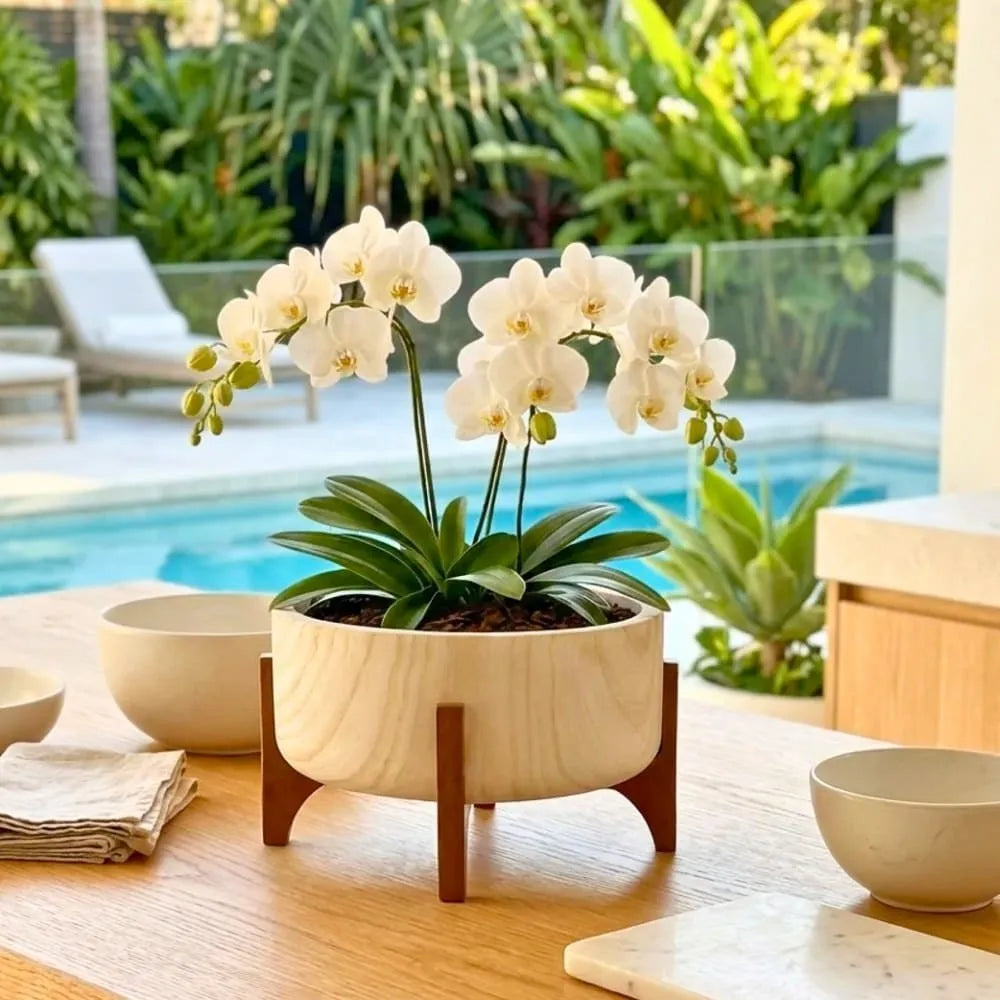 Vaso Bacia Linha Genebra com Suporte de Madeira