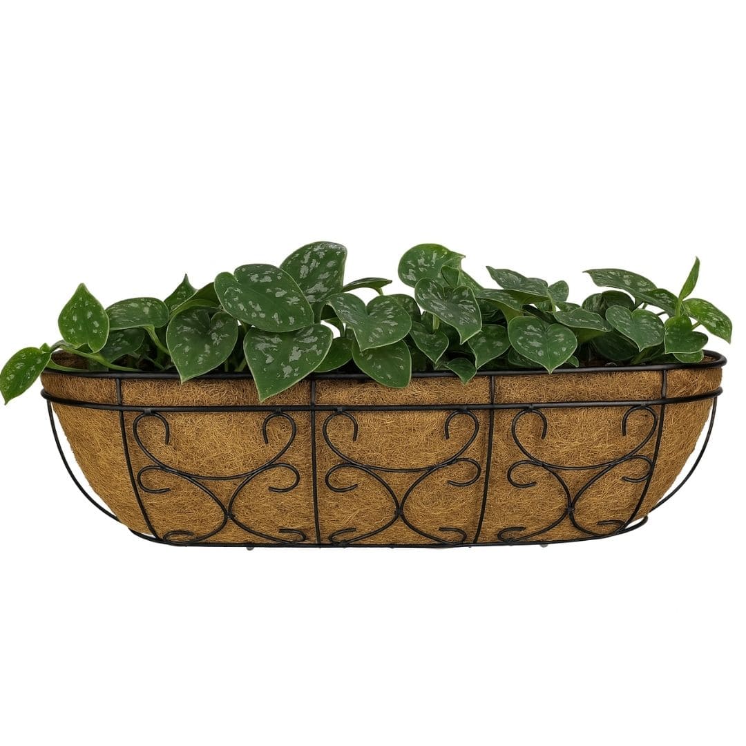 Jardineira de Fibra de Coco com Suporte Ornamentado