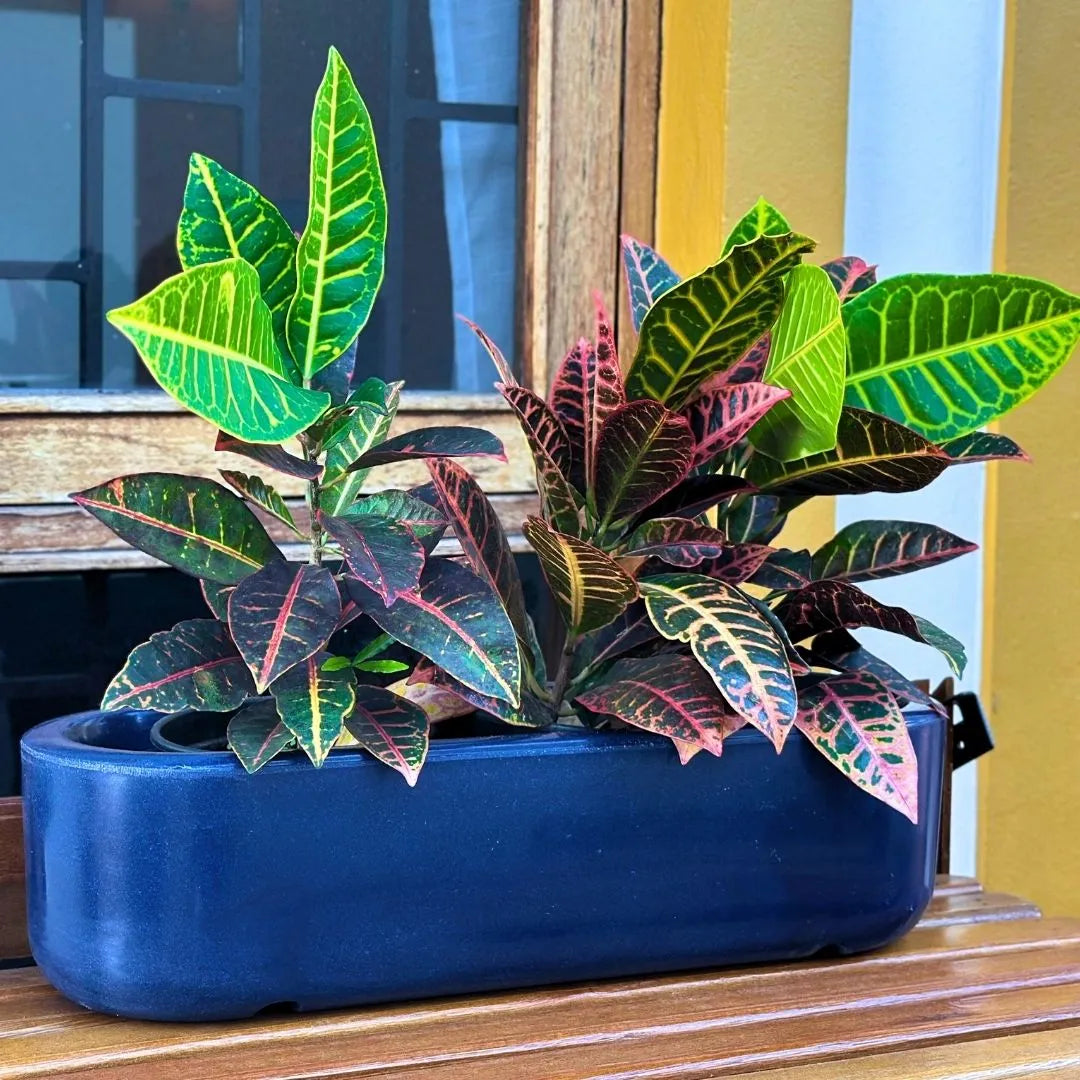 Jardineira Doha em Polietileno 50x17cm