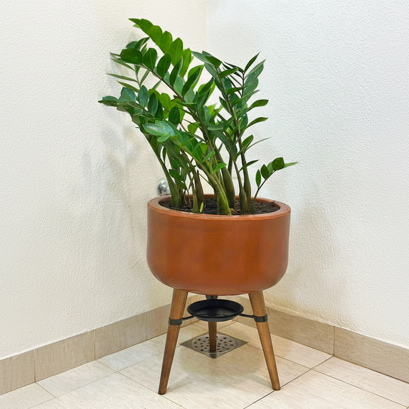 Vaso Bacia Linha Doha com Tripé de Madeira