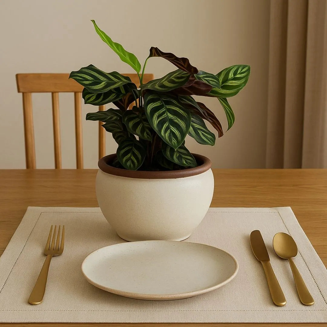 Vaso Cachepot em Cerâmica Esmaltada 18,5cm