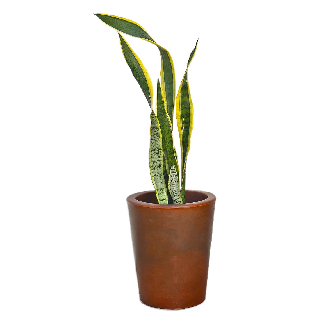 Kit 3 Vasos Damasco Brilhantes