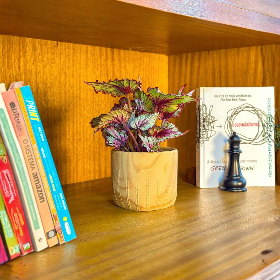 Vaso Cachepot Linha Genebra com Suporte de Madeira Baixo