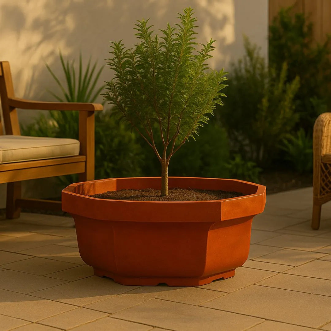 Vaso Bacia Oitavado Siena em Polietileno