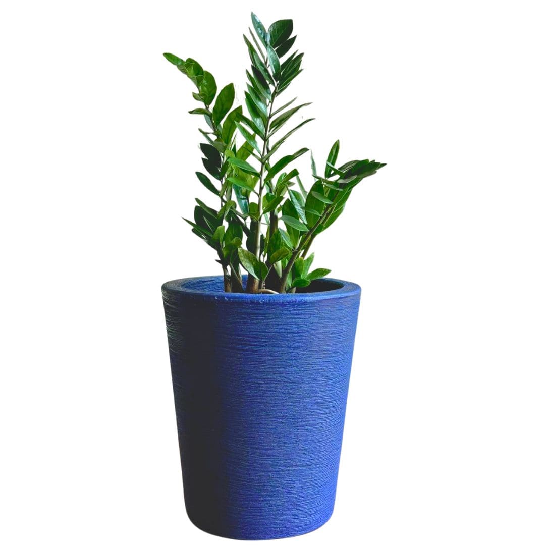 Kit 3 Vasos Decorativos para Pequenos Espaços