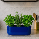 Jardineira Doha em Polietileno 30x17cm