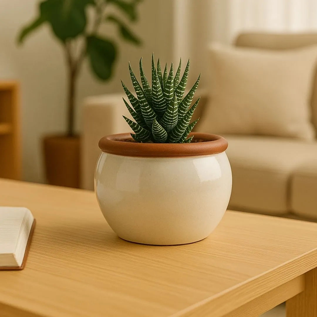 Vaso Cachepot em Cerâmica Esmaltada 15cm