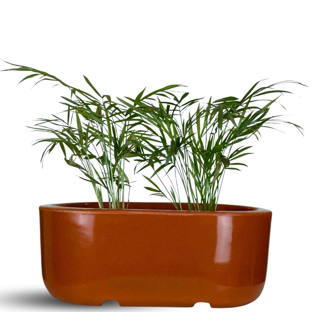 Jardineira Doha em Polietileno 30x17cm