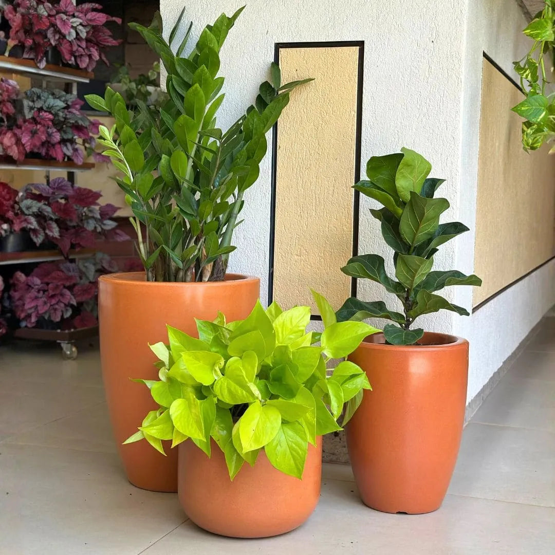 Kit 3 Vasos Polietileno Cone + Bacia