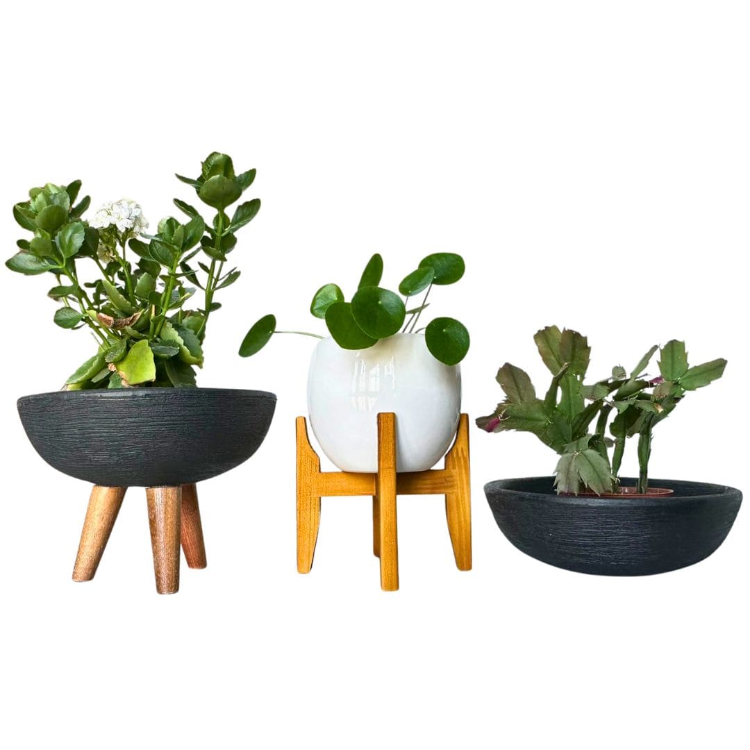 Kit 3 Vasos Pequenos para Espaços Compactos