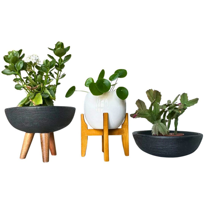 Kit 3 Vasos Pequenos para Espaços Compactos
