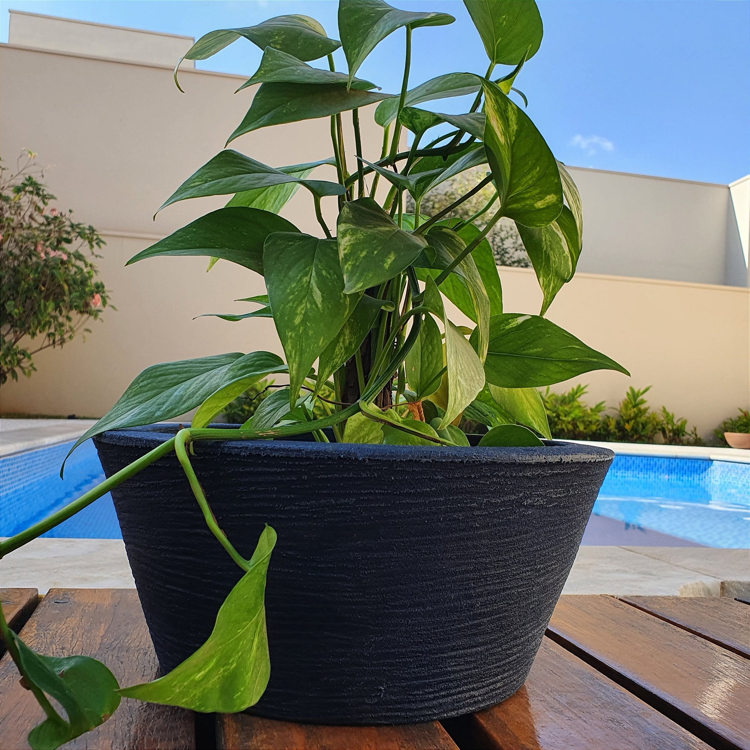 Vaso Bacia Texturizado em Polietileno