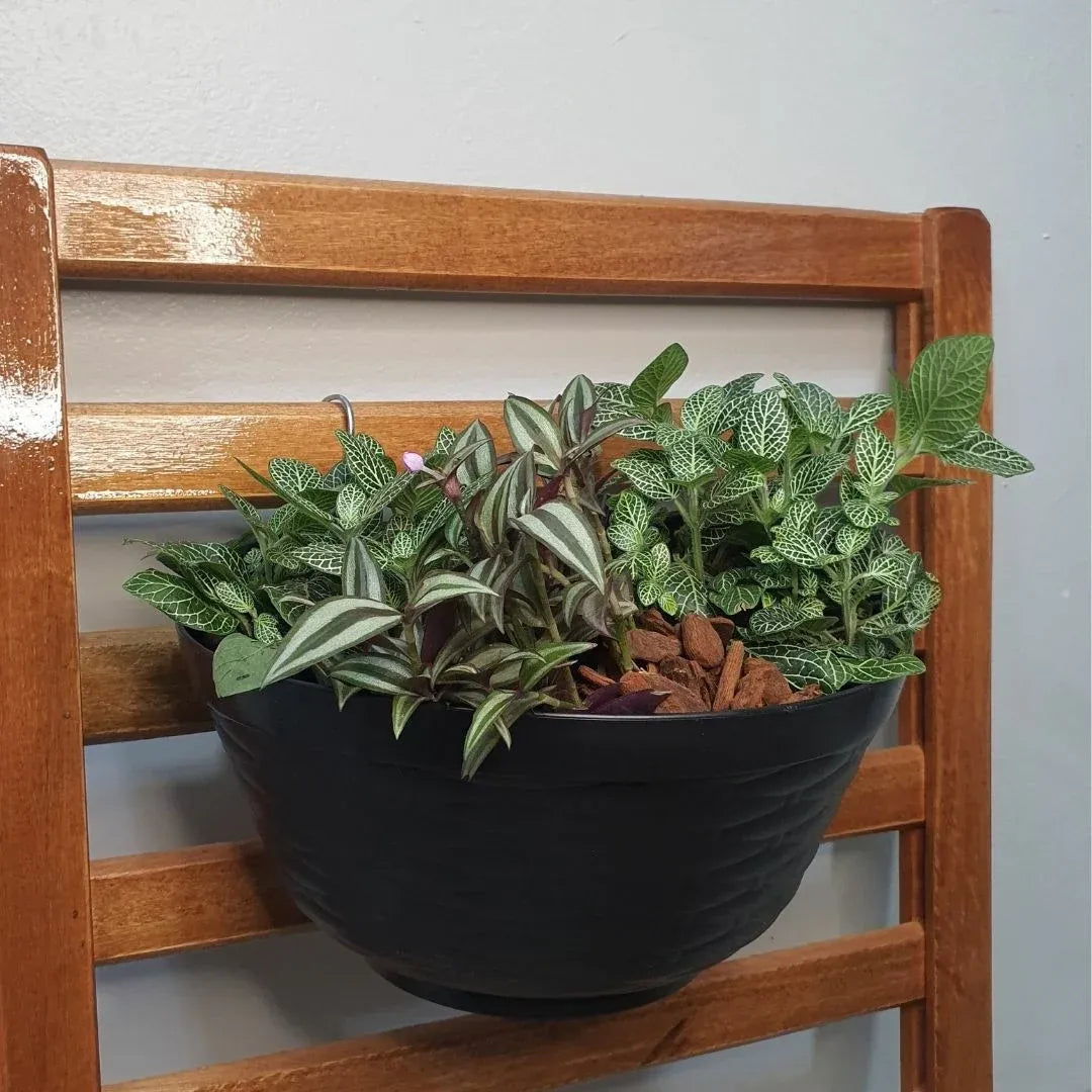 Meio Vaso de Parede para Jardim Vertical