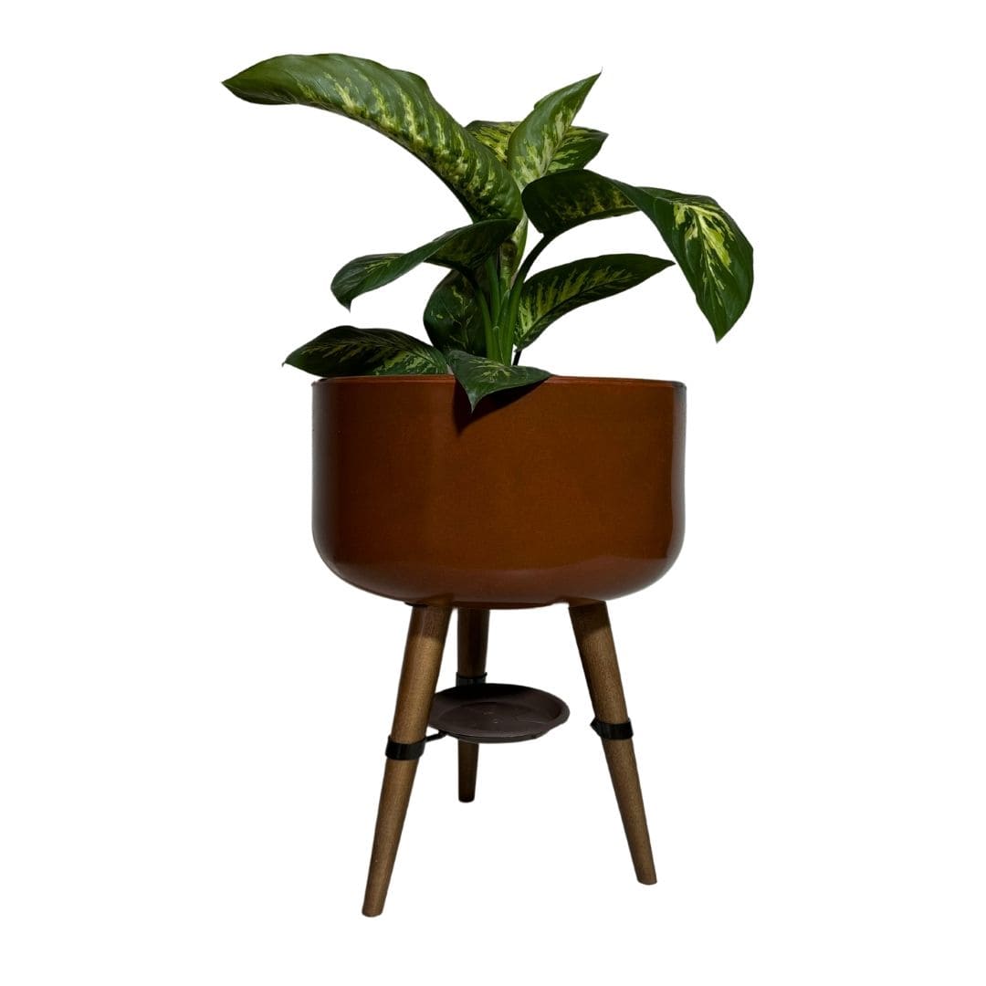 Vaso Bacia Linha Doha com Tripé de Madeira