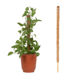 Tutor Estaca em Fibra de Coco para Plantas