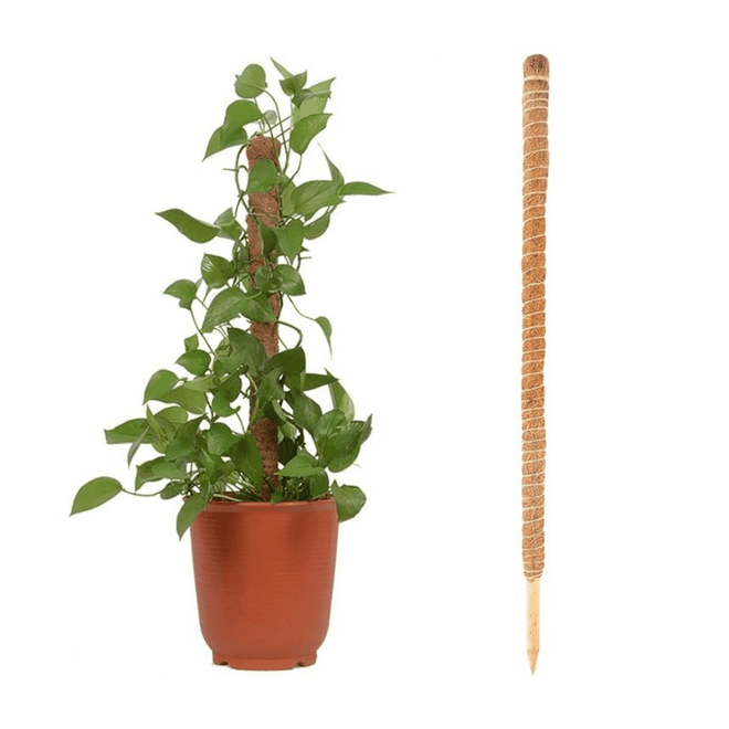 Tutor Estaca em Fibra de Coco para Plantas