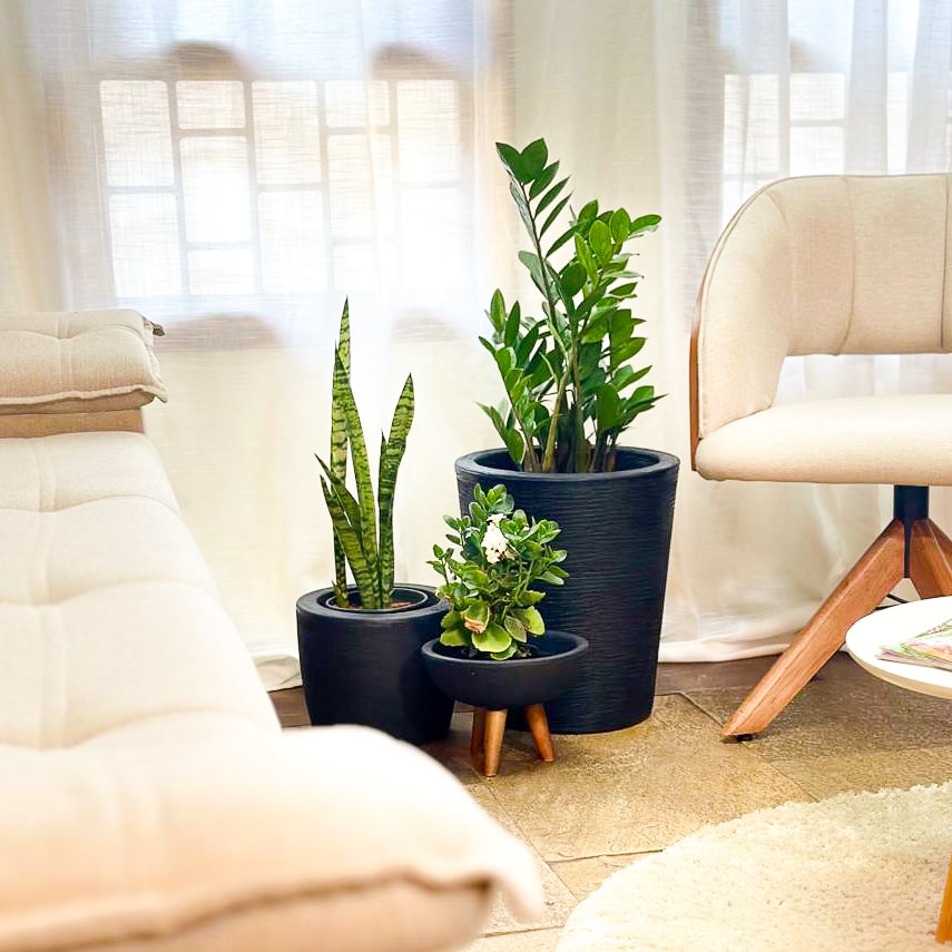 Kit 3 Vasos Decorativos para Pequenos Espaços