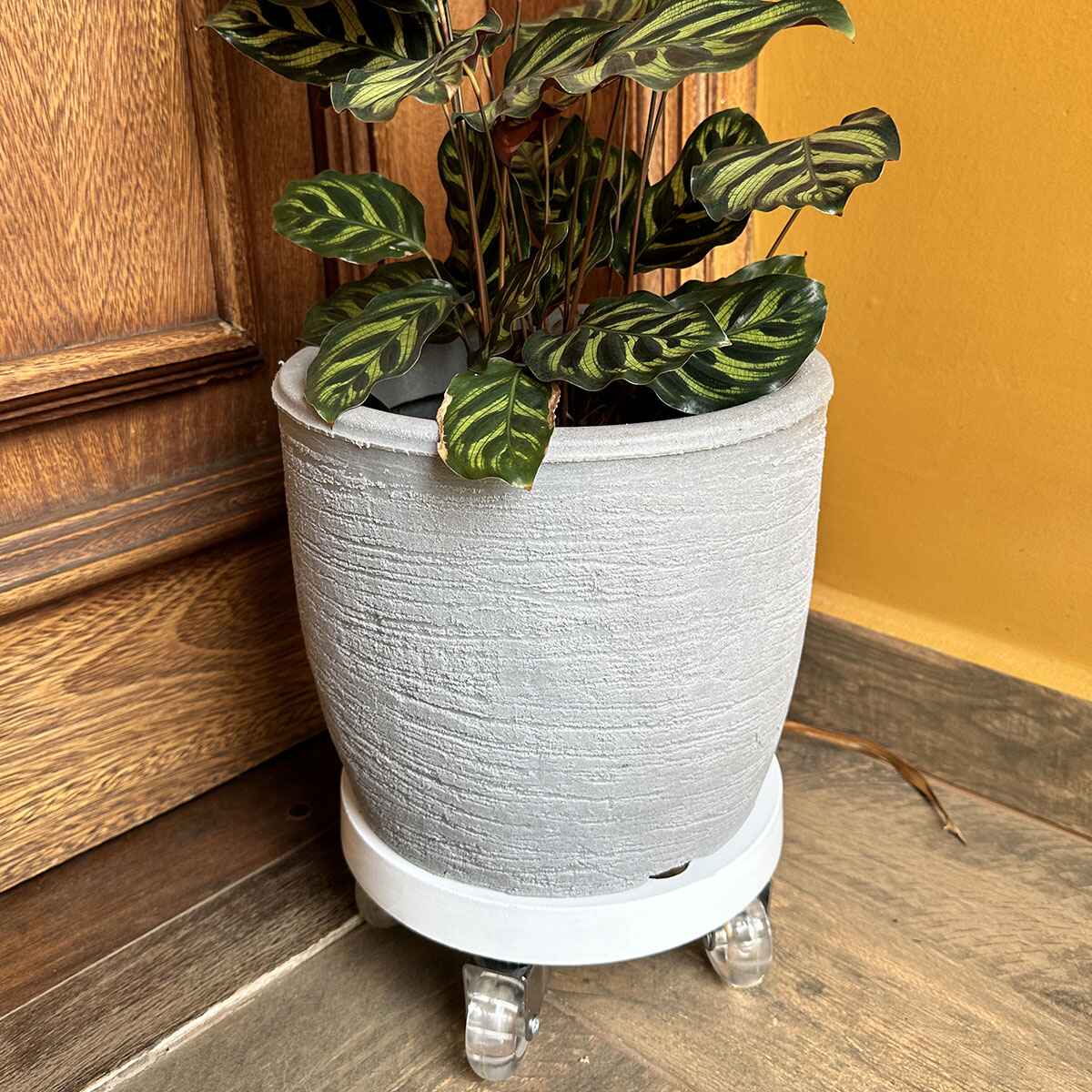 Suporte de Alumínio com Rodas de Silicone para Vasos Redondos