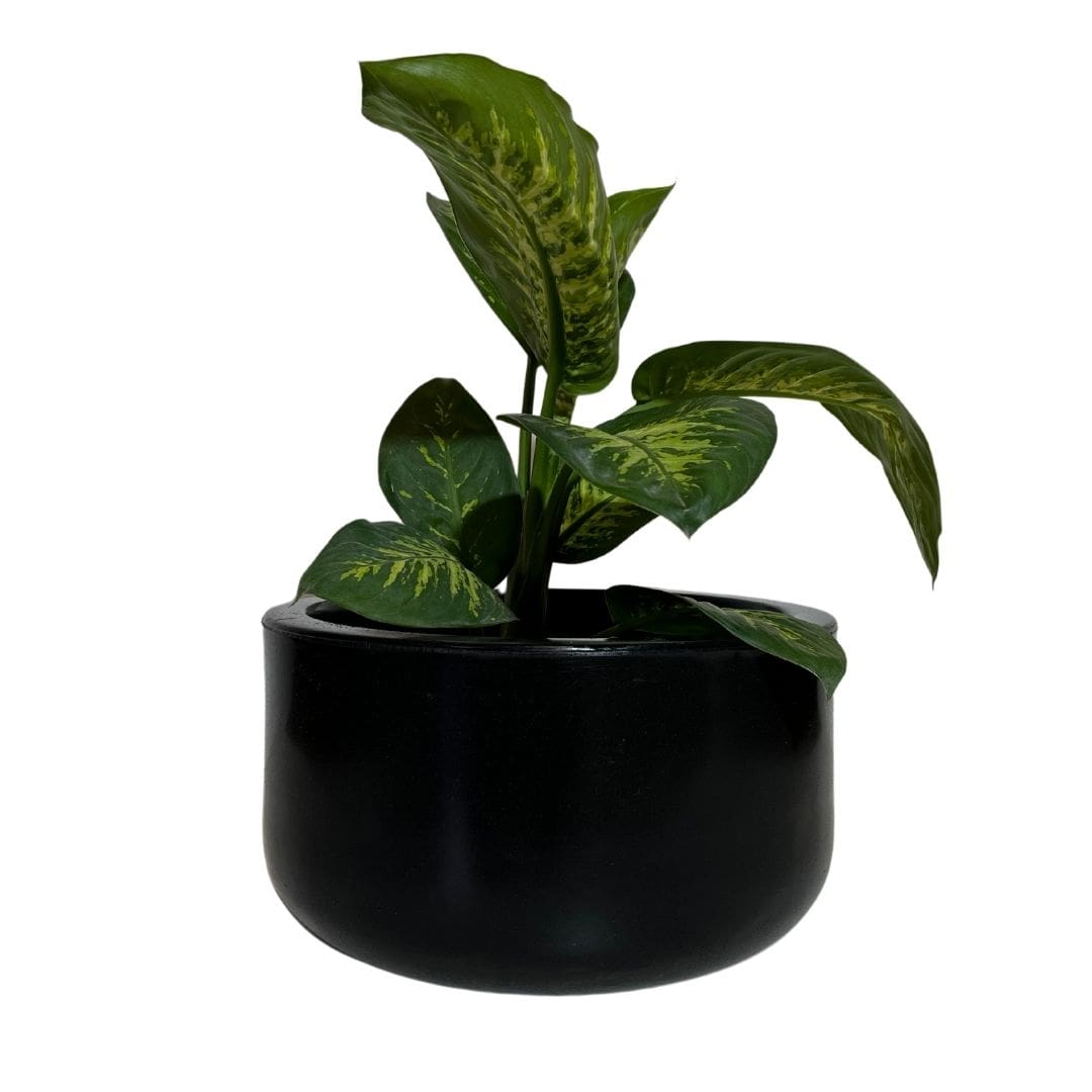 Vaso Bacia Linha Doha em Polietileno