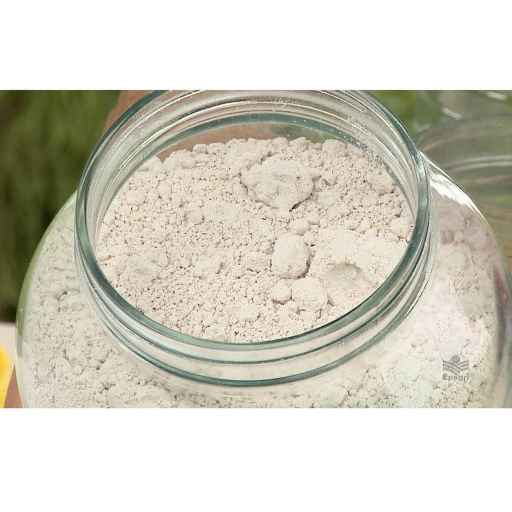 Terra de Diatomáceas 500g