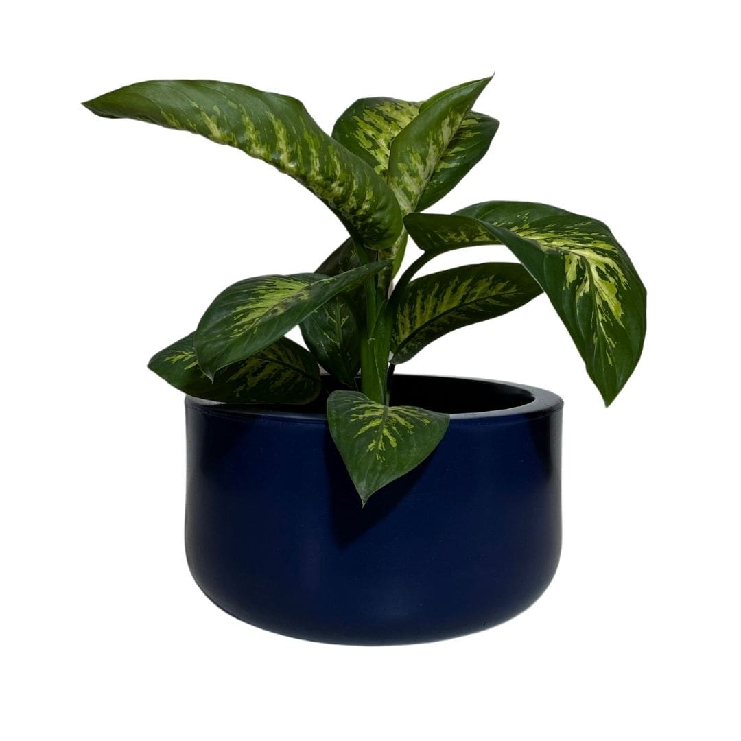 Vaso Bacia Linha Doha em Polietileno